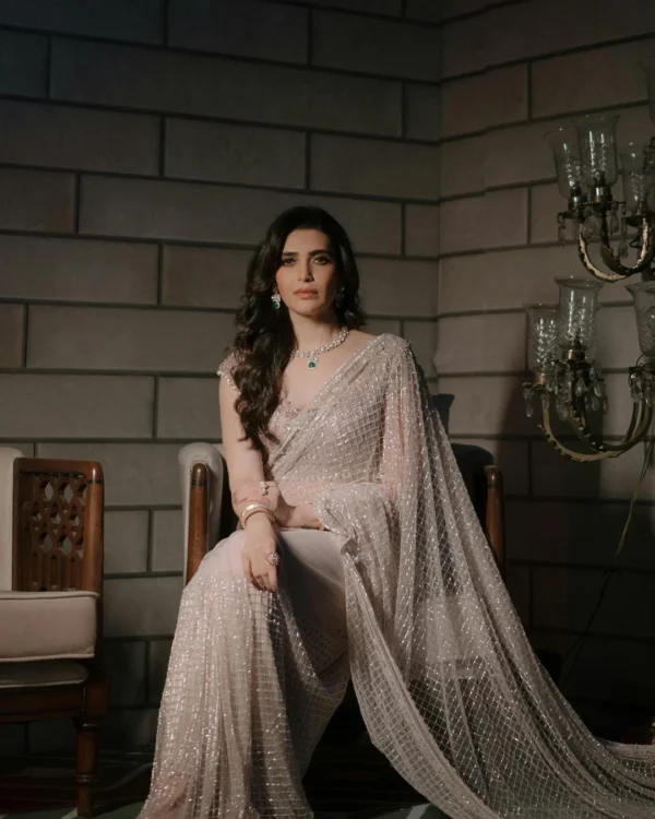 Rich Shining Party Saree